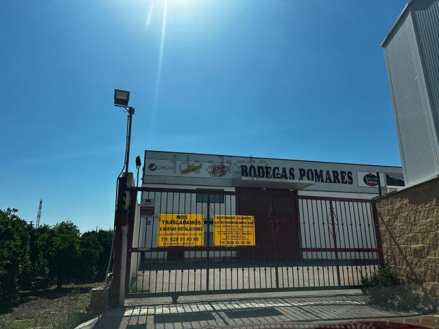Local, Orihuela