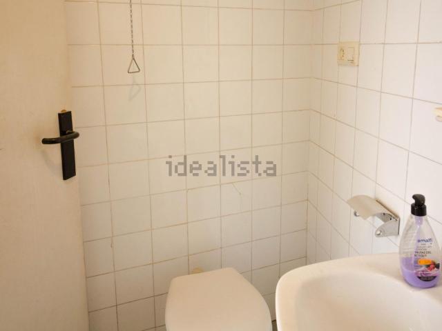 Local, Orihuela