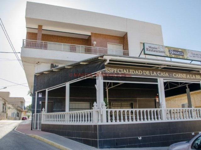 Local, Orihuela