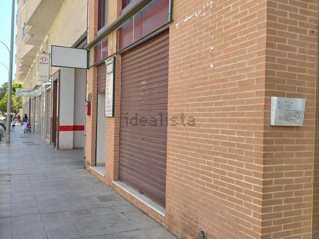 Local, Orihuela