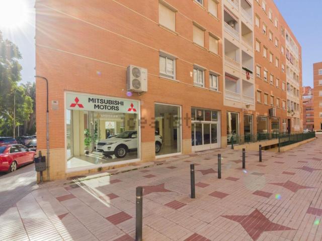 Local, Orihuela