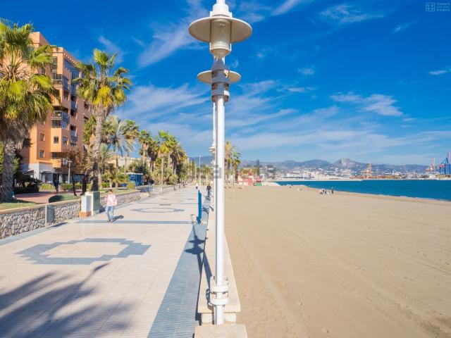 Local, Pacífico, Málaga