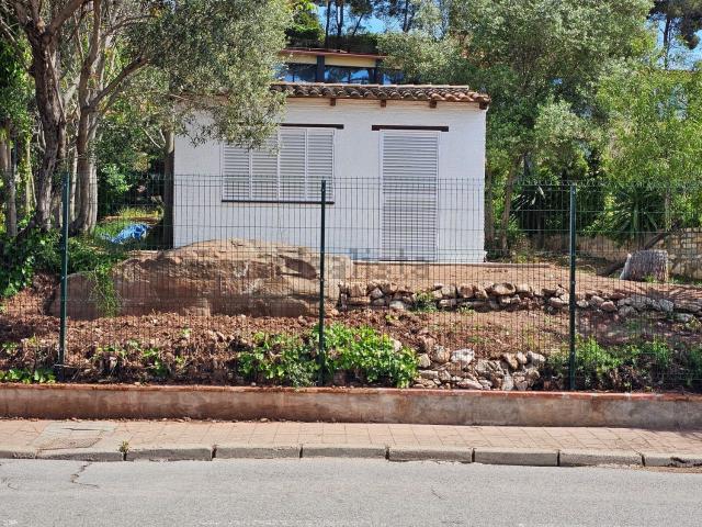Local, Pallejà