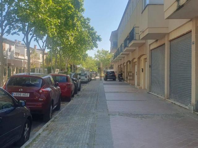 Local, Palma de Mallorca