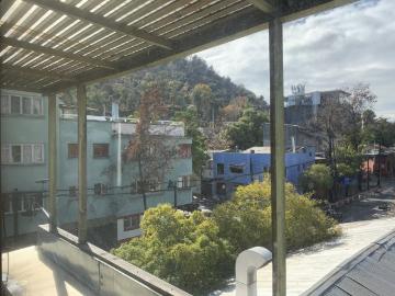 Local para Eventos Comercio Oficina Barrio Bellavista