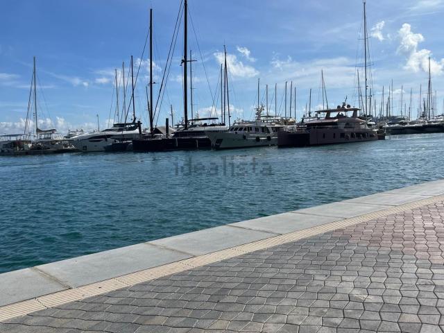 Local, Paseo Marítimo, Palma de Mallorca