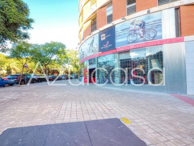 Local, Paus, Alicante / Alacant