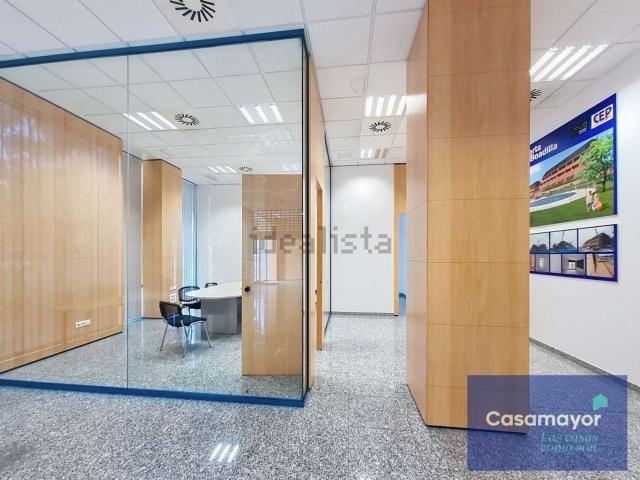 Local, Paus, Alicante / Alacant