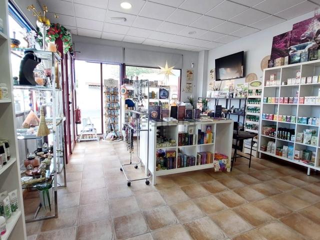 Local, Paus, Alicante / Alacant
