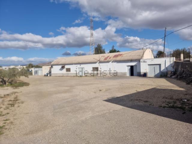 Local, Pechina