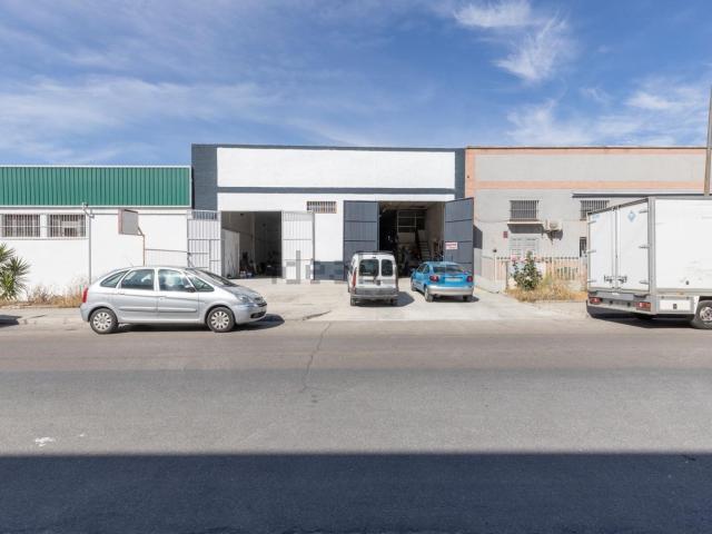 Local, Peligros