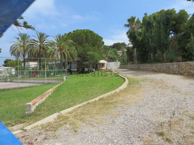 Local, Peñíscola