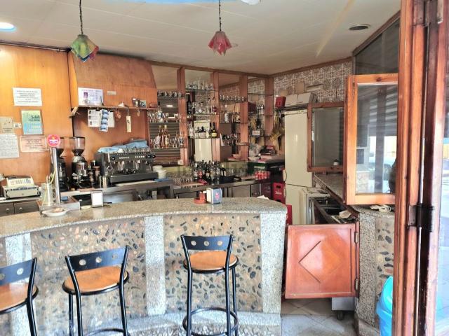 Local, Pineda de Mar