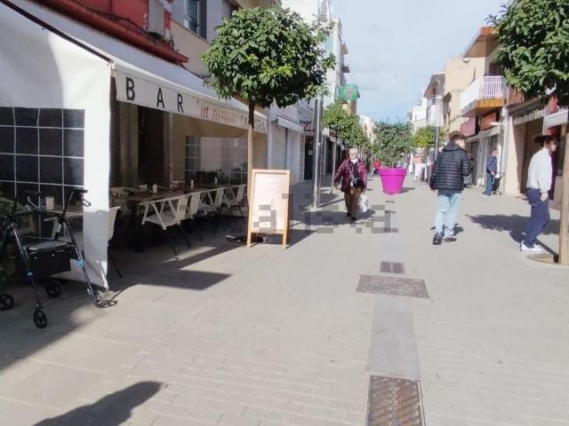 Local, Pineda de Mar