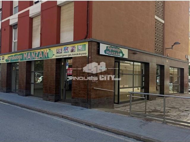 Local, Pineda de Mar
