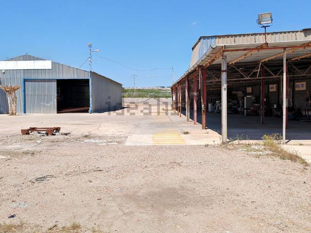 Local, Pilar de la Horadada