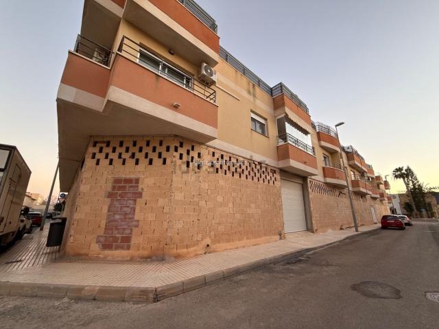 Local, Pilar de la Horadada