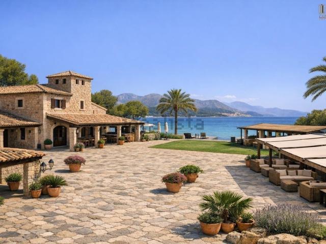 Local, Pollença