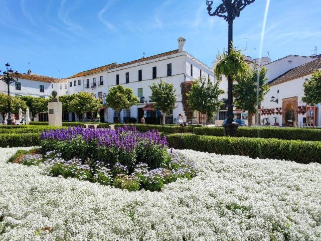 Local, Playa Bajadilla Puertos, Marbella