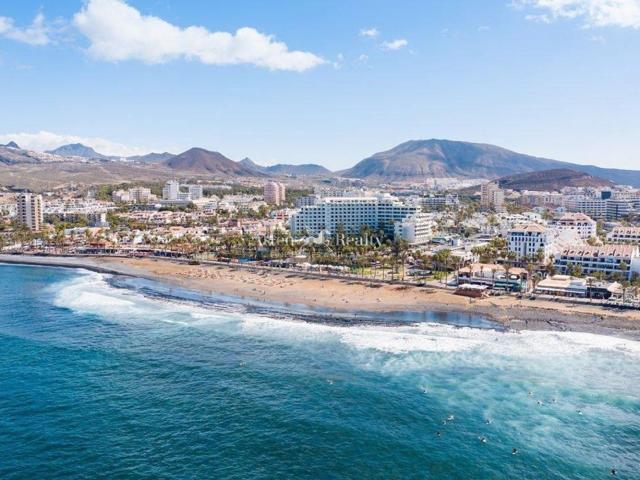 Local, Playa de Fañabé Alto, Adeje
