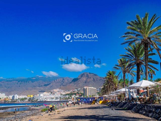 Local, Playa de las Américas, Adeje