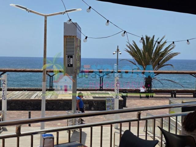 Local, Playa de las Américas, Adeje