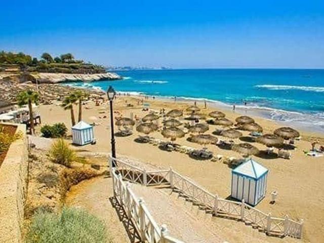 Local, Playa de las Américas, Adeje