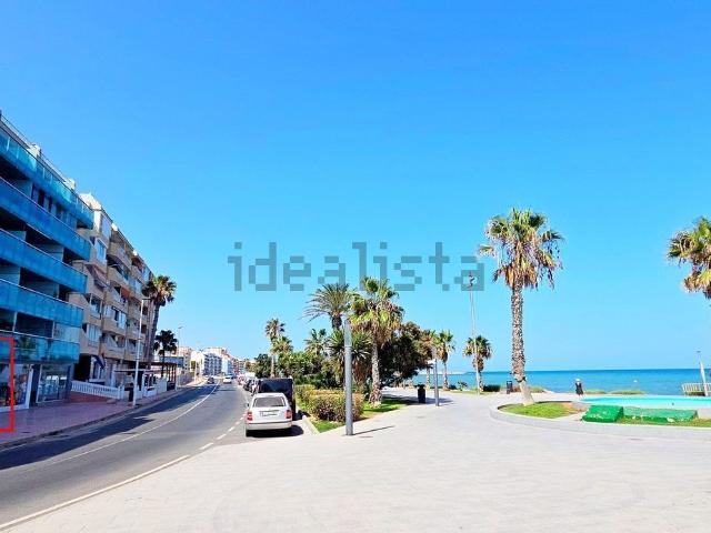 Local, Playa del Cura, Torrevieja