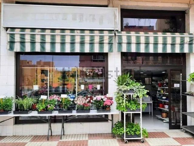 Local, Plaza de toros, Marbella
