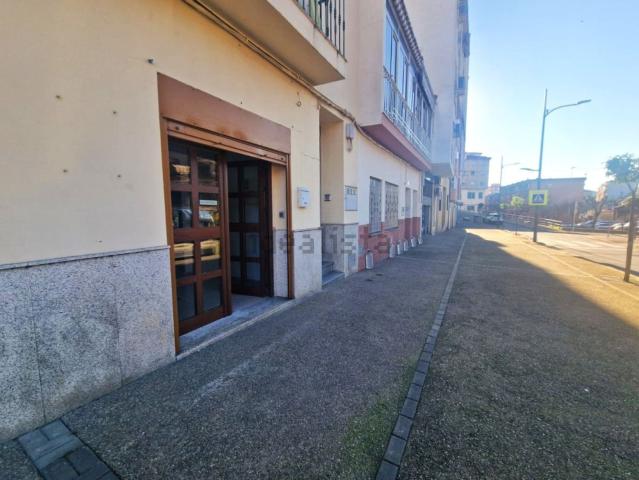 Local, Plasencia