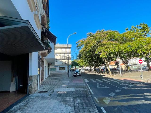 Local, Plasencia