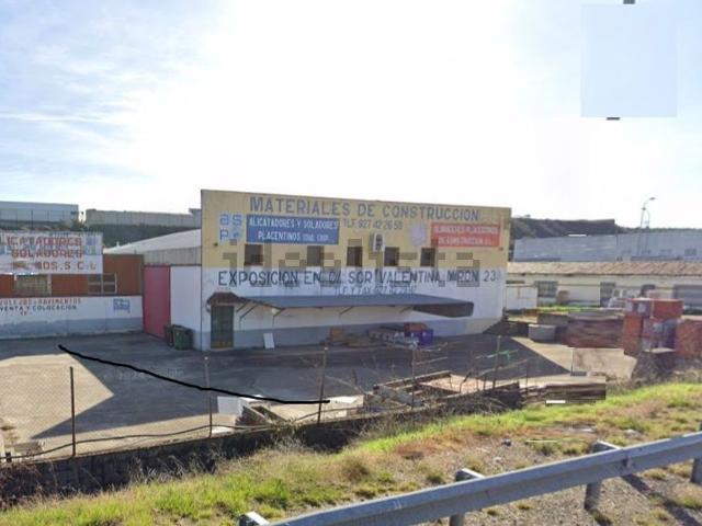 Local, Plasencia