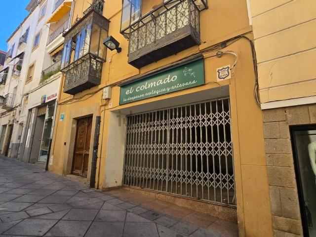 Local, Plasencia