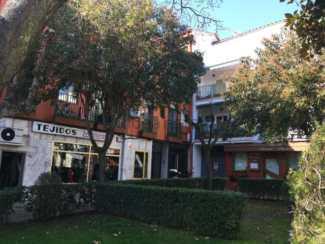 Local, Plasencia
