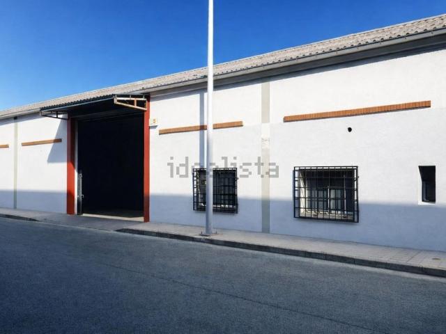 Local, Plasencia
