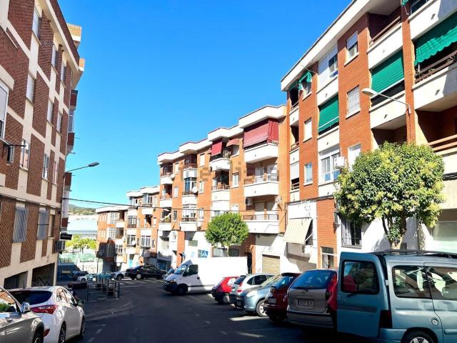 Local, Plasencia