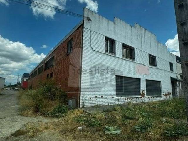 Local, Plasencia