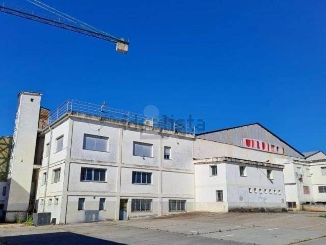 Local, Plasencia