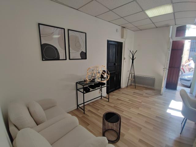 Local professionnel Centre Ville de ST GILLES