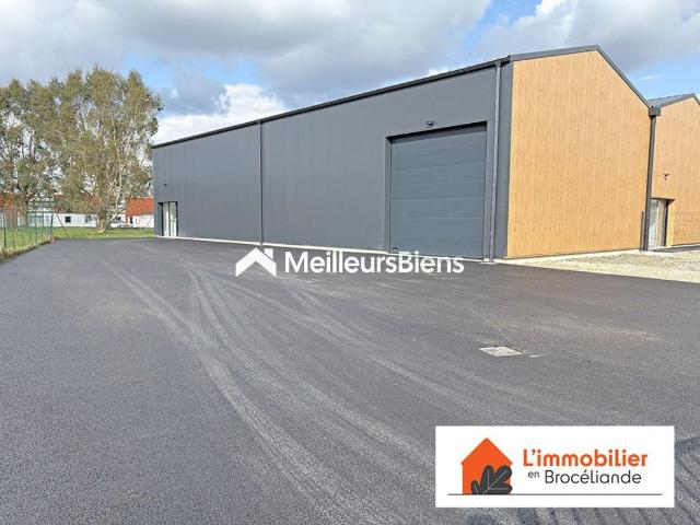 Local Professionnel de 250m² avec grand hangar