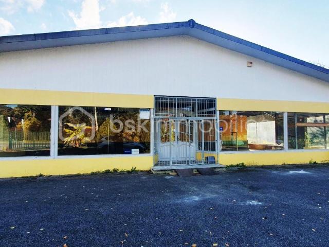 Local professionnel 480m² sur terrain de 21 ares