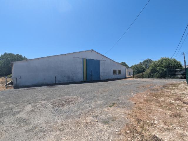 Local professionnel 500 m2