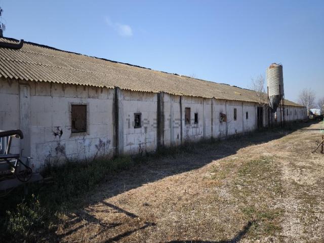 Local, Preixana