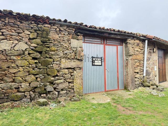 Local, Puerto Castilla