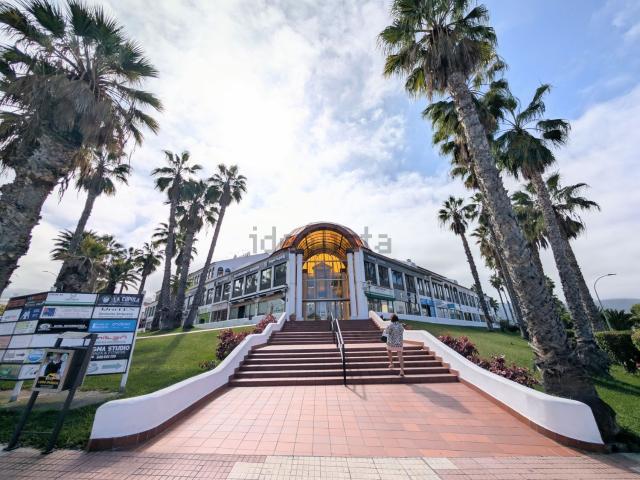Local, Puerto de la Cruz