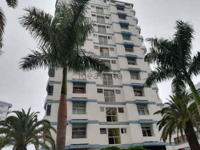 Local, Puerto de la Cruz