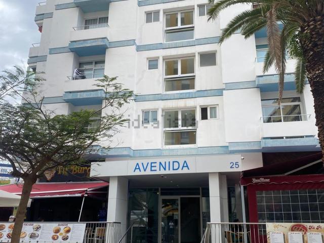 Local, Puerto de la Cruz