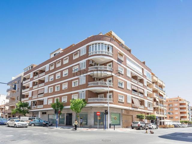 Local, Puerto Deportivo, Torrevieja