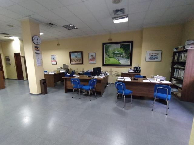 Local, Puertollano