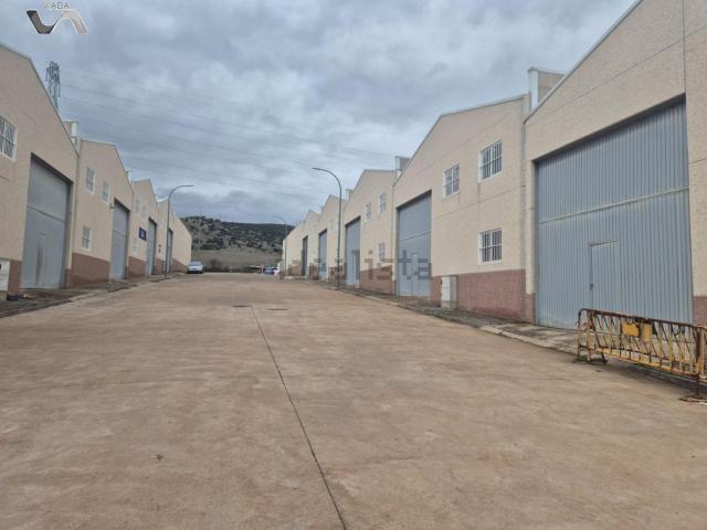 Local, Puertollano